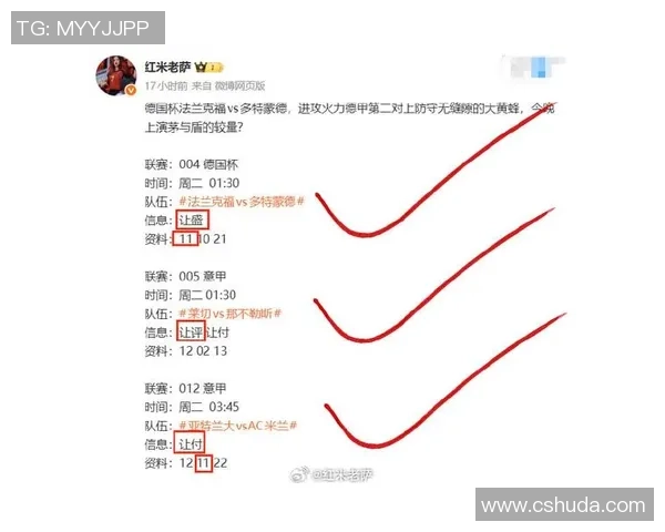 斯旺西对阵曼城的精彩比赛结果揭晓球迷热议赛场表现与未来展望