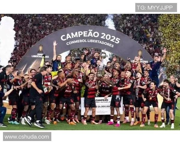 南美解放者杯激战克鲁赛罗与弗拉门戈谁能笑到最后